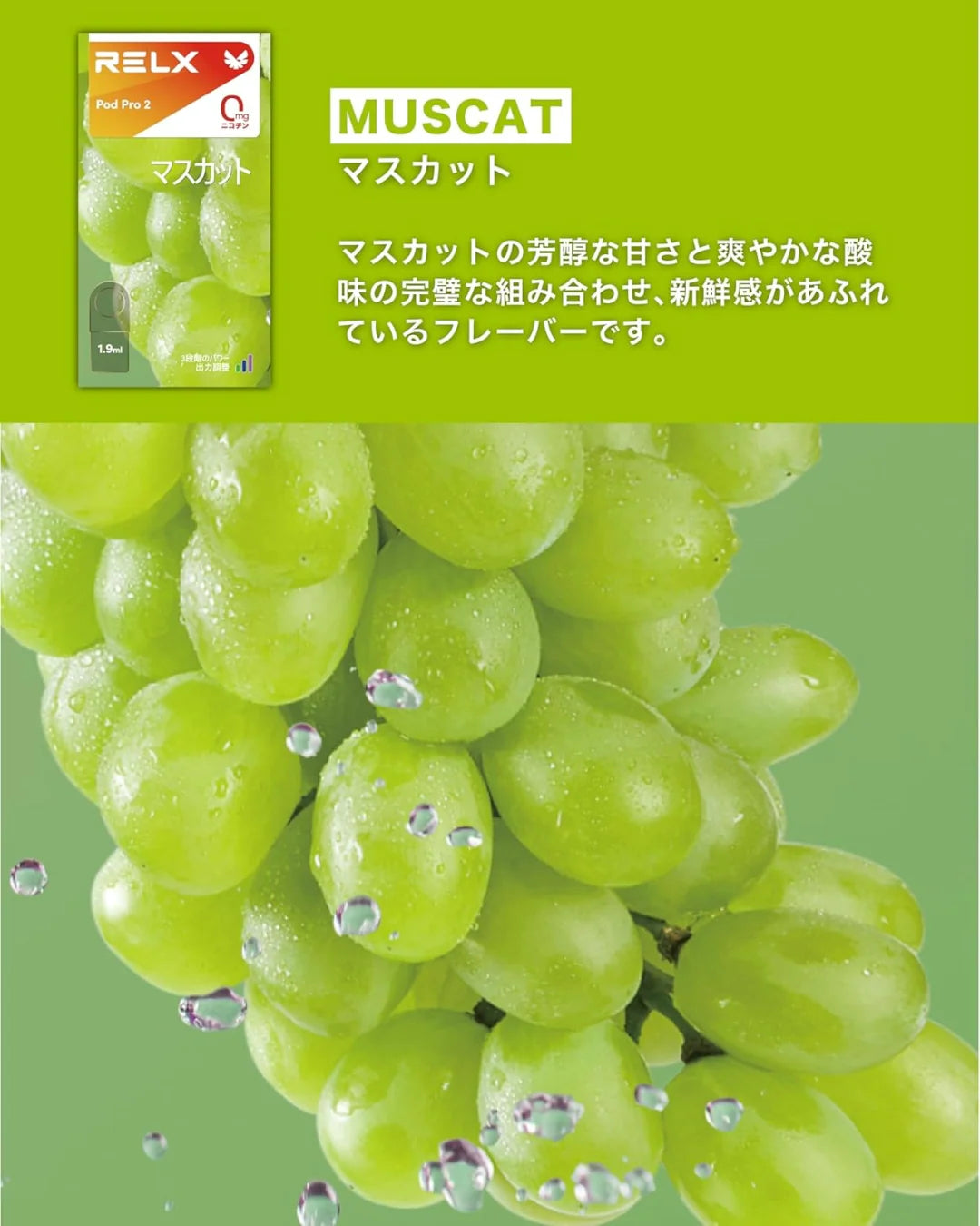 Infinity 2 Plus – RELXJAPAN